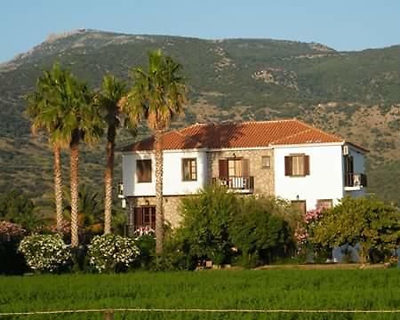 Islands Apartments Petra  Esterno foto