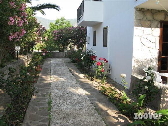 Islands Apartments Petra  Esterno foto