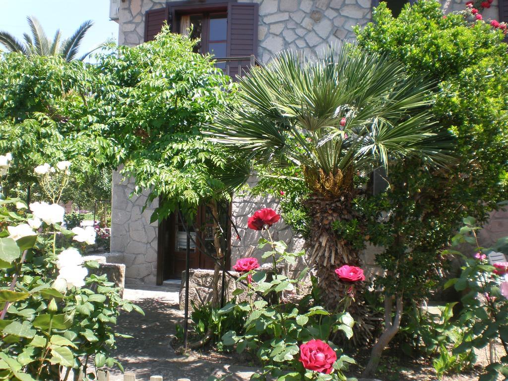 Islands Apartments Petra  Esterno foto