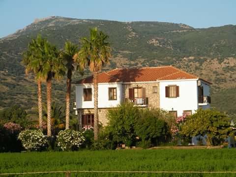 Islands Apartments Petra  Esterno foto